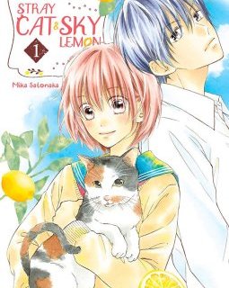 Stray cat and sky lemon - Mika Satonaka - la chronique BD