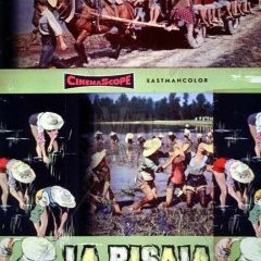 La risaia (Matarazzo 1955)