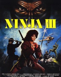 Ninja 3 - la critique