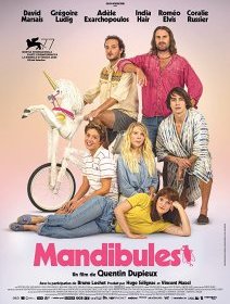Mandibules - Quentin Dupieux - critique