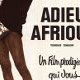 Adieu Afrique - la critique