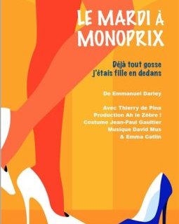 Le Mardi au Monoprix - Cie Ah le Zèbre ! - critique du spectacle