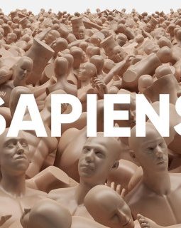Sapiens : Ode à l'humain pour L'Or du Commun