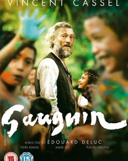 Gauguin : voyage de Tahiti - Edouard Deluc - critique