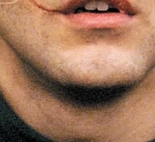 Tom à la ferme - la critique du film de Xavier Dolan