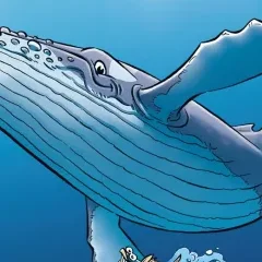 Les Animaux Marins en bande dessinée T.8 – Cazenove, Hignette, Domas - la critique BD