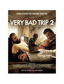 Very bad trip 2 - la critique