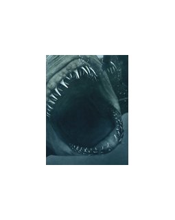 Shark Night 3D - la bande-annonce et l'affiche
