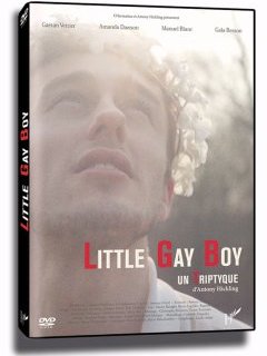 Little Gay Boy un Triptyque - la critique + test DVD 