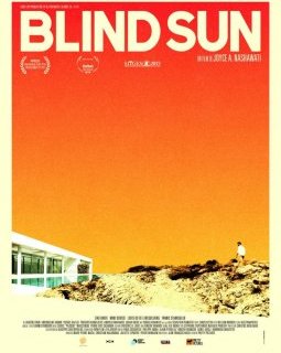 Blind sun - la critique du film