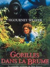 Gorilles dans la brume - la critique du film