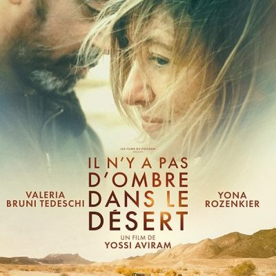 Il n'y a pas d'ombre dans le désert - Yossi Aviram - critique