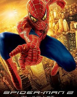 Audiences télé : Spider-man 2 fait moins bien que Strauss-Kahn !