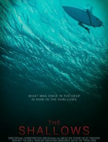The Shallows (Instinct de survie) : Blake Lively est la proie d'un énorme requin blanc dans la bande-annonce