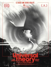 Universal Theory - Timm Kröger - critique