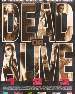 Dead or Alive II - Takashi Miike - critique