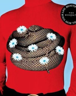 The Wombats : Cheetah Tongue, nouveau clip dingue avant l'album 