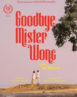 Goodbye Mister Wong - Kiyé-Simon Luang - critique