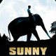 Sunny et l'éléphant - La critique
