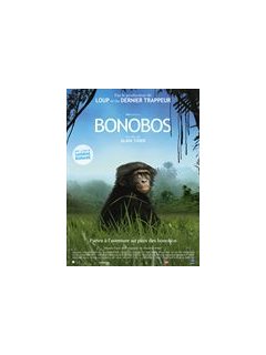 Bonobos - la critique