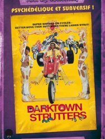 Darktown strutters - la critique + test DVD