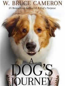 A Dog's Journey de Gail Mancuso - Fiche film