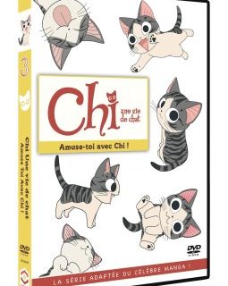 Chi Une Vie de Chat vient miauler en DVD