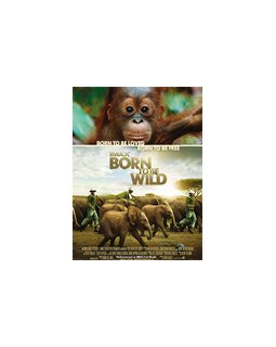 Born to be wild 3D - coup d'oeil