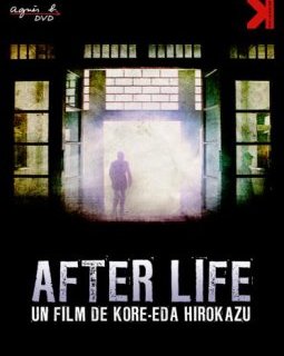 After Life - Hirokazu Kore-eda - critique 