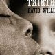 Coffret David Williams - Lillian / Thirteen : le test DVD