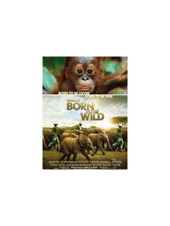 Born to be wild 3D - coup d'oeil