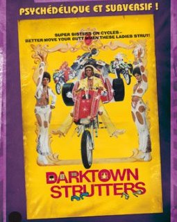 Darktown strutters - la critique + test DVD