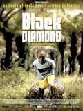 Black diamond - la critique