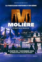 Molière, le spectacle musical - Ladislas Chollat - critique