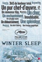 Winter Sleep (Sommeil d'hiver) - critique de la Palme d'Or 2014