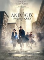 Box-office Paris 14h : Les Animaux Fantastiques n'est pas Harry Potter !