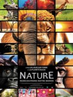 Nature 3D - la critique du film 