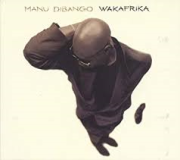 Mort du saxophoniste et chanteur Manu Dibango