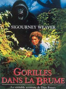 Gorilles dans la brume - la critique du film