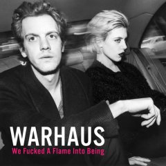 Warhaus : We fucked a flame into being
