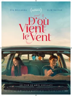 D'où vient le vent ? - Amel Guellaty - critique