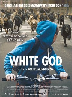 White God - Kornél Mundruczó - critique du film + le test DVD