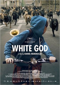 White God : la bande-annonce d'un film qui a du chien