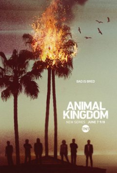 Animal Kingdom devient une série télé