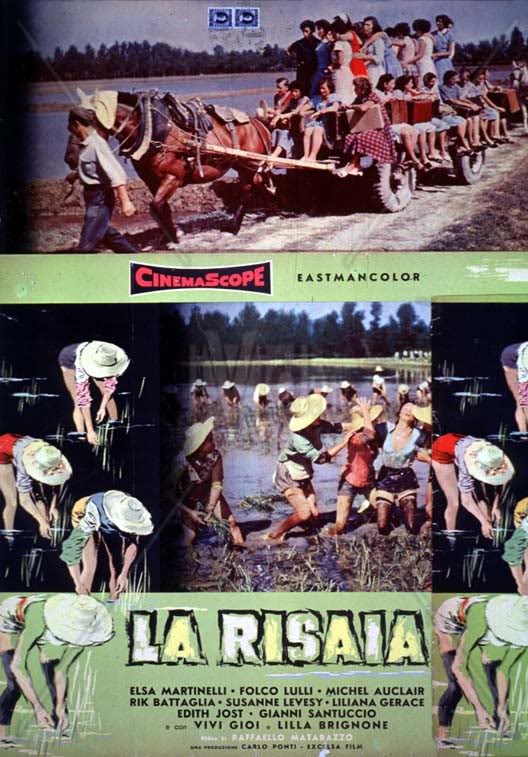 La risaia (Matarazzo 1955)