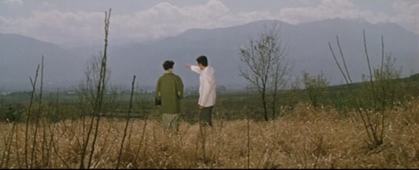Setsuko Hara et Tatsuya Nakadai dans Musume, tsuma, haha (Naruse 1960)
