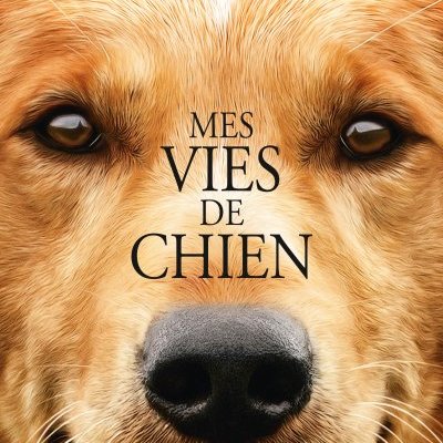 Mes Vies de Chien : bande-annonce