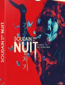 Soudain dans la nuit - Go Yeong-nam - critique & test Blu-ray