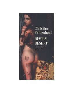 Destin, désert - Christine Falkenland