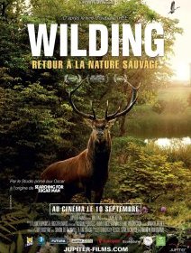 Wilding : Retour à la nature sauvage - David Allen - critique